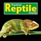 -FREE 1 month trial with every new Practical Reptile Keeping annual subscription-