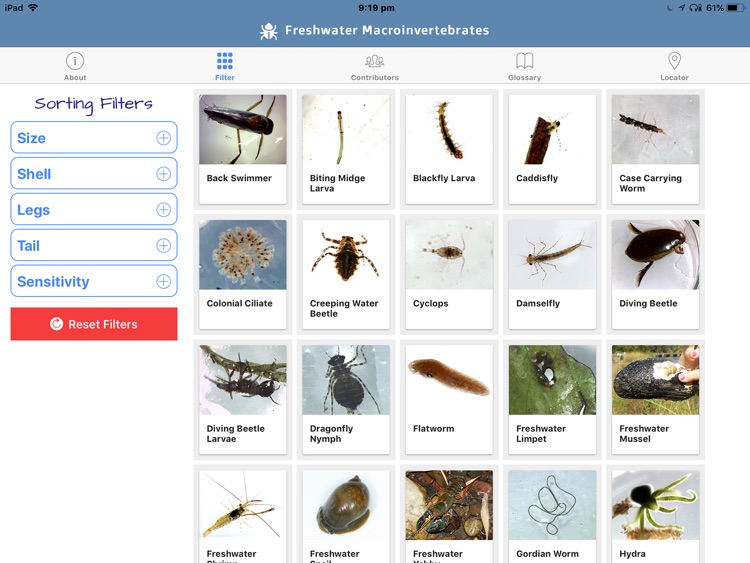 Freshwater Macro Invertebrates