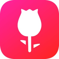  The Rose League Application Similaire