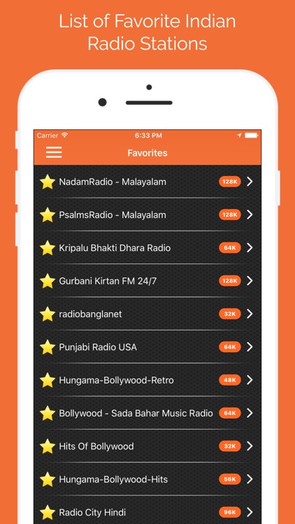 Indian Radio - Desi Stations screenshot-3