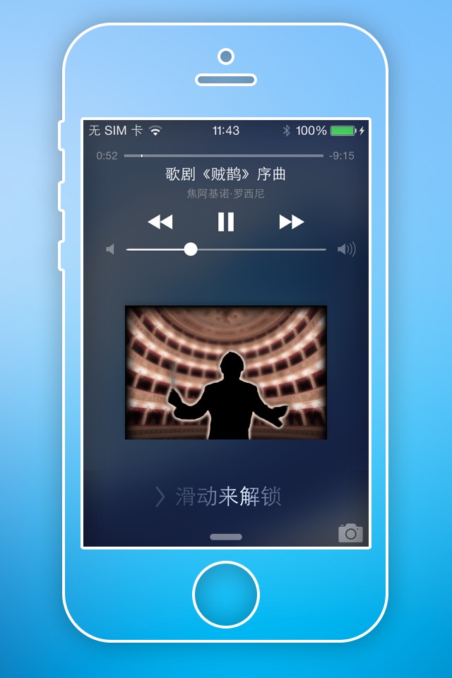 Classical Music Collections screenshot 4