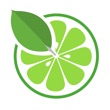 Get MongoLime - manage databases for iOS, iPhone, iPad Aso Report