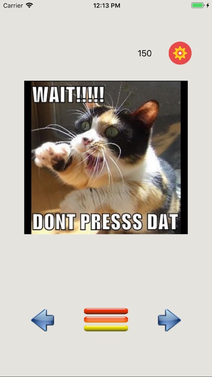 Funny Animals