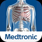 Thoracic Viewer