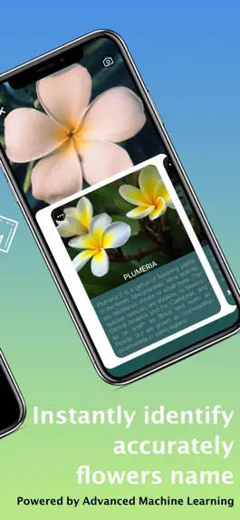 Game screenshot What Flower - Plant Identifier apk