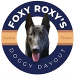Foxy Roxys Doggy Dayout