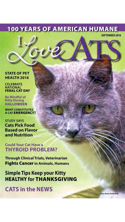 I Love Cats Magazine screenshot-3