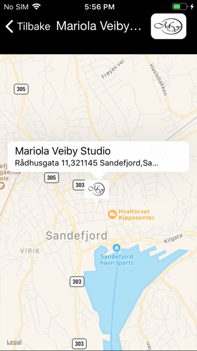 Mariola Veiby Studio screenshot 4