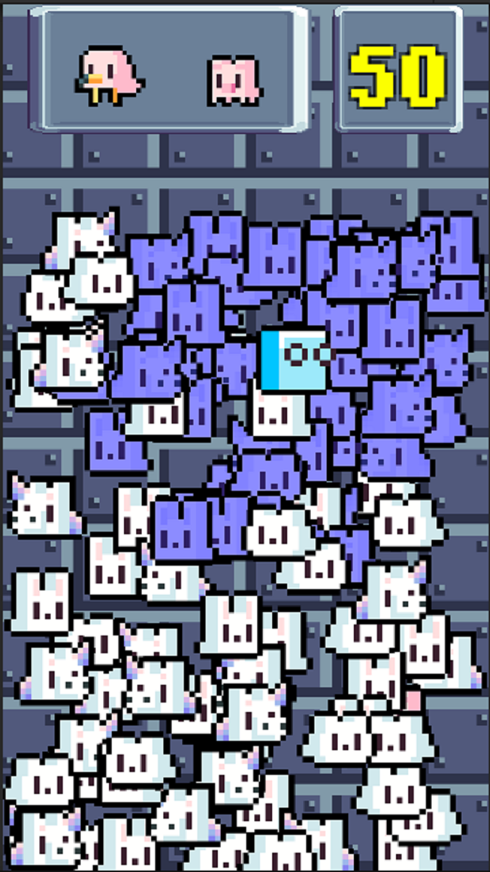 Tap Pals