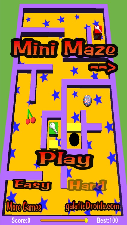 Mini Maze Pro screenshot-4