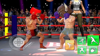 Mini Boxing: Champion King screenshot 2