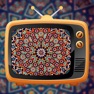 Get Farsi TV Info for iOS, iPhone, iPad Aso Report