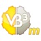 GSi VB3m simulates the famous american tonewheel organ better known as the Hammond Organ B3