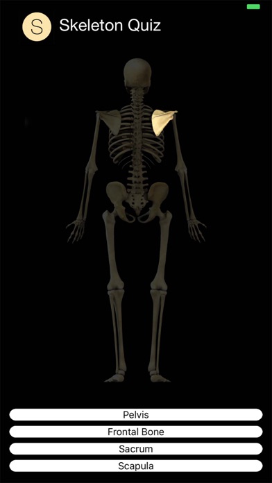 Human Skeleton Quiz screenshot 2