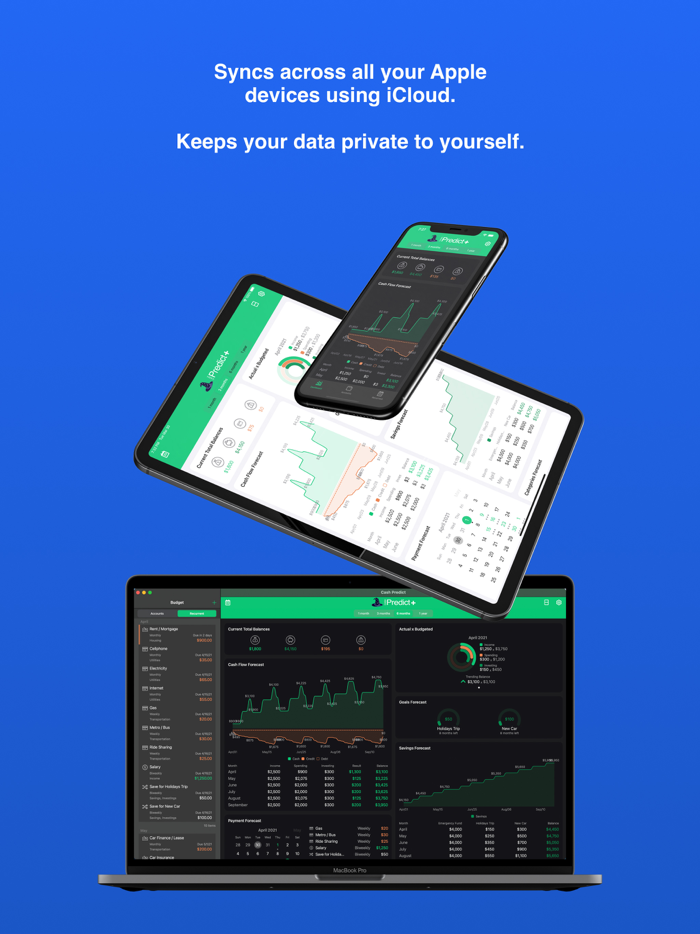 Cash Predict Easy Budget