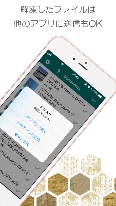 Easy zip Pro - zip/ra... screenshot1