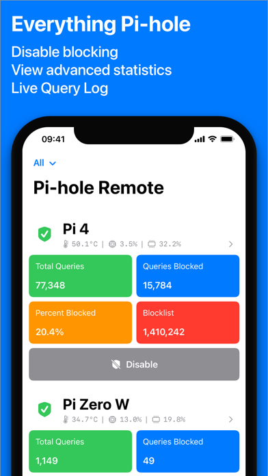 Screenshot of Pi-hole Remote1