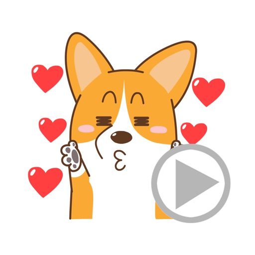 Welshcorgi Mr.Lee Cute Special