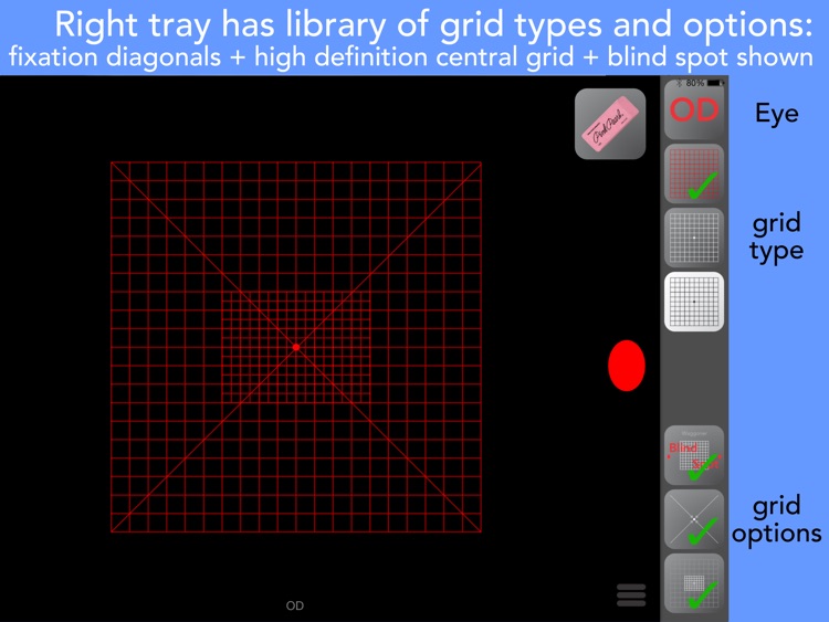 Amsler Grids screenshot-0