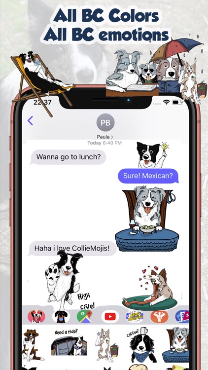 CollieMoji - Original Stickers screenshot-6