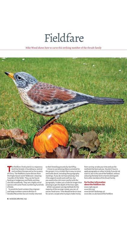 Woodcarving Magazine