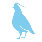 Perdrix