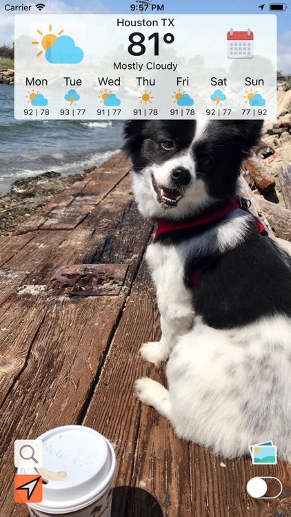 NOAA Weather Radar Puppy