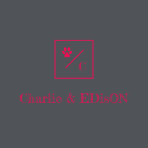 Charlie and Edison icon