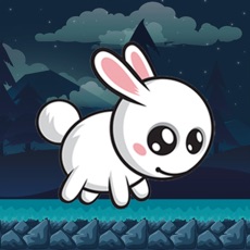 Activities of Bunny Venture