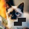 Block Square Jigsaw is a CREATIVE & BRAND-NEW block jigsaw puzzle game for you