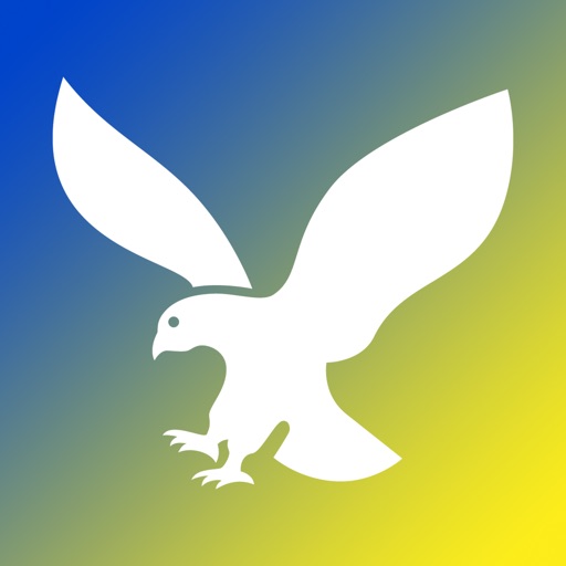 Blue and Gold Army Icon