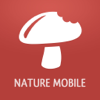 Pilze sammeln und bestimmen - NATURE MOBILE G.m.b.H.