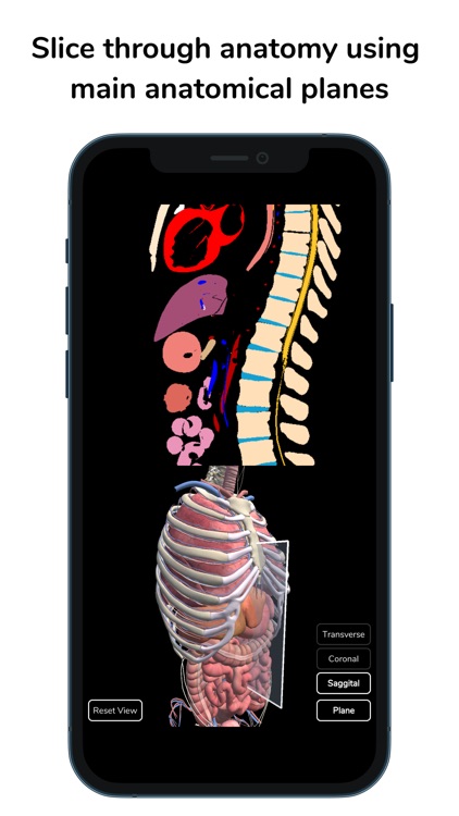 Deepscope Radiological Anatomy