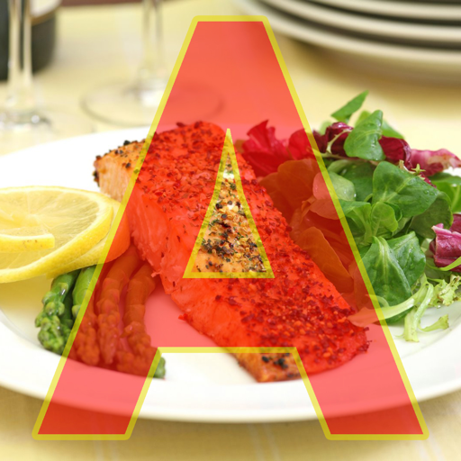 Discover The Atkins Diet icon