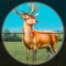 Icon Wild Animal Hunting Games 2021