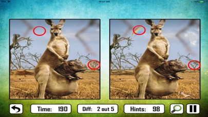 Animal Find The Difference screenshot 4