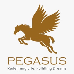 PEGASUS INC