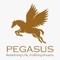 Pegasus Inc is a social organisation formed to help people in various ways and to create a better society filled with peace, love and happiness