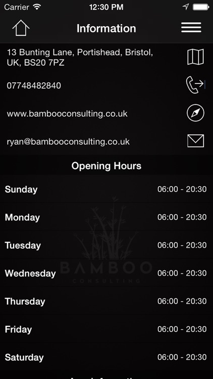 Bamboo Consulting