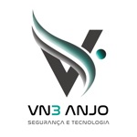 Vn3 Anjo