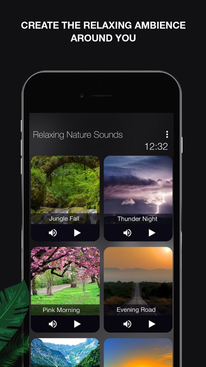 Nature Sounds: Relax, Meditate
