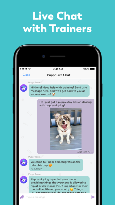 How to cancel & delete Puppr - Dog Training & Tricks from iphone & ipad 4