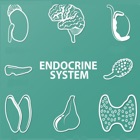 Endocrine System Biology Quiz