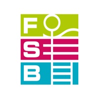FSB ne fonctionne pas? problème ou bug?