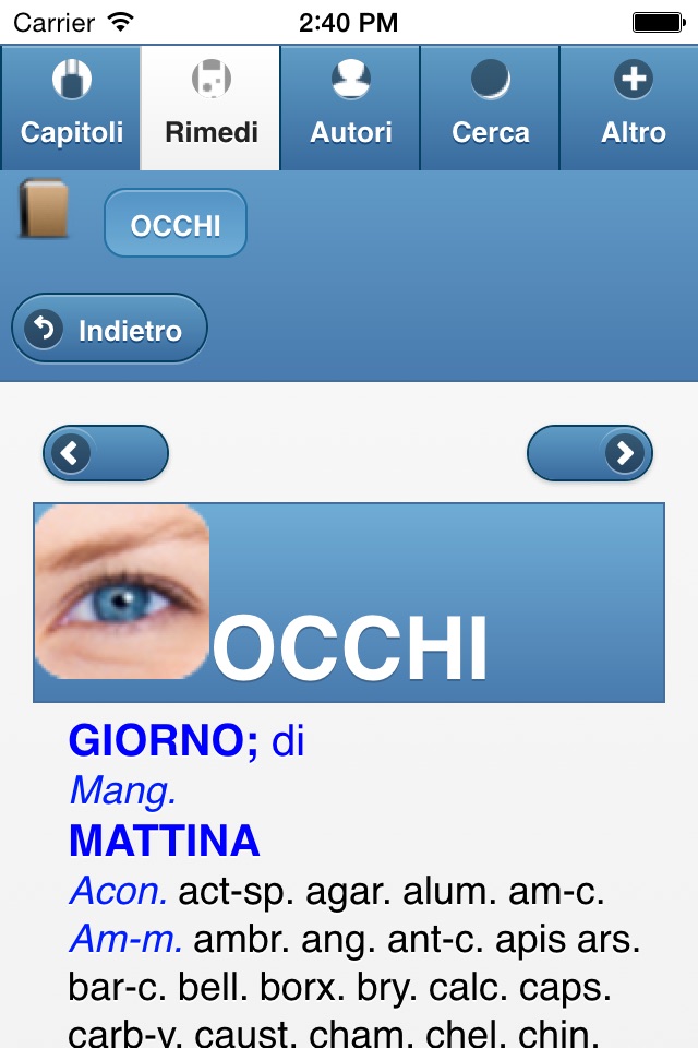 Synthesis Italiano Lite screenshot 2