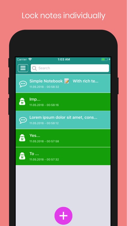 whynote: Encrypted Notepad