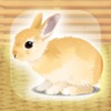 癒しのウサギ育成ゲーム - iPadアプリ