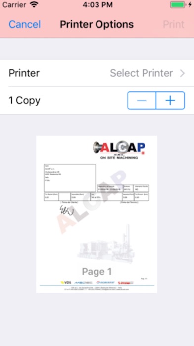 cAlcap screenshot 4