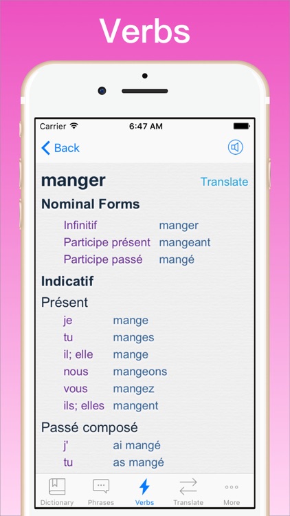 French Translator Dictionary + screenshot-4