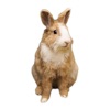 Rabbit photo sticker
